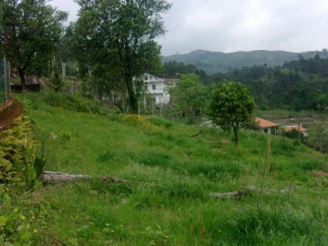 Terreno para Venda em Esperança e Brunhais