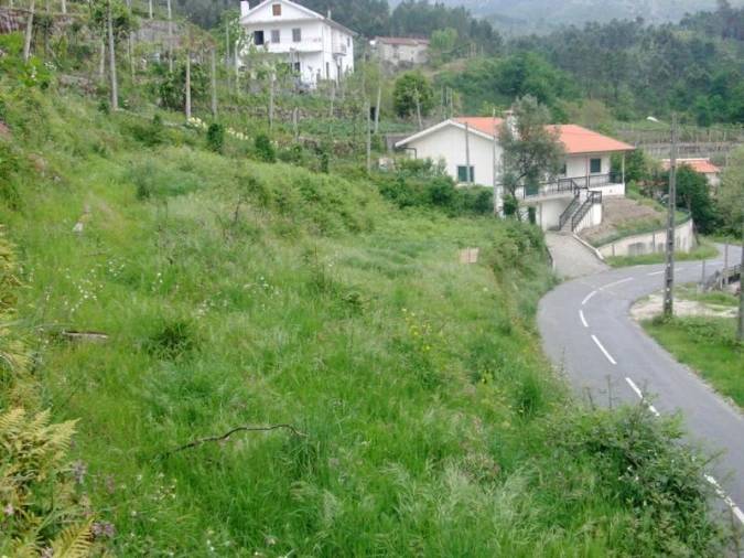 Terreno para Venda em Esperança e Brunhais Foto 5