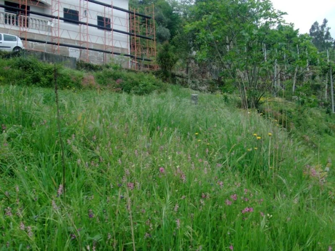 Terreno para Venda em Esperança e Brunhais Foto 6