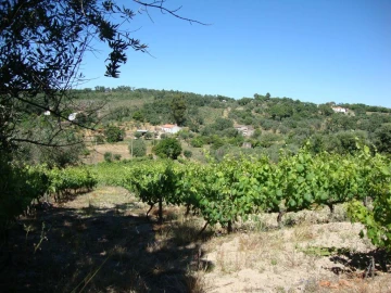 Terreno Agricola ou Rústico para Venda em Santa Maria da Devesa