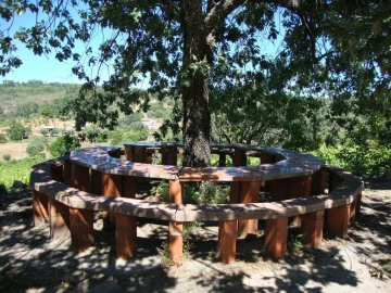 Terreno Agricola ou Rústico para Venda em Santa Maria da Devesa