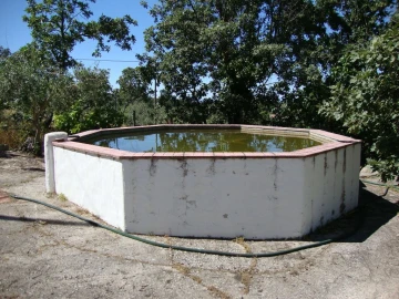 Terreno Agricola ou Rústico para Venda em Santa Maria da Devesa