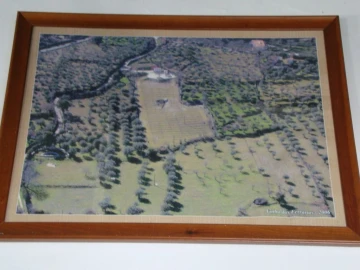 Terreno Agricola ou Rústico para Venda em Santa Maria da Devesa