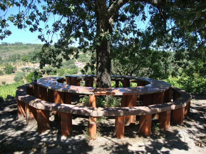 Terreno Agricola ou Rústico para Venda em Santa Maria da Devesa Foto 7
