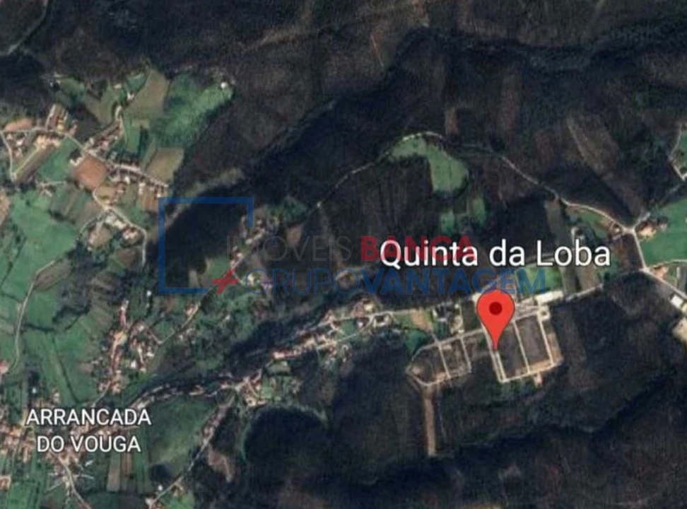 Terreno para Venda em Valongo do Vouga Foto 6