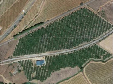 Quinta T0 para Venda em Estremoz (Santa Maria e Santo André)