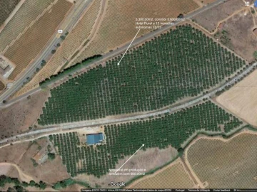 Quinta T0 para Venda em Estremoz (Santa Maria e Santo André)