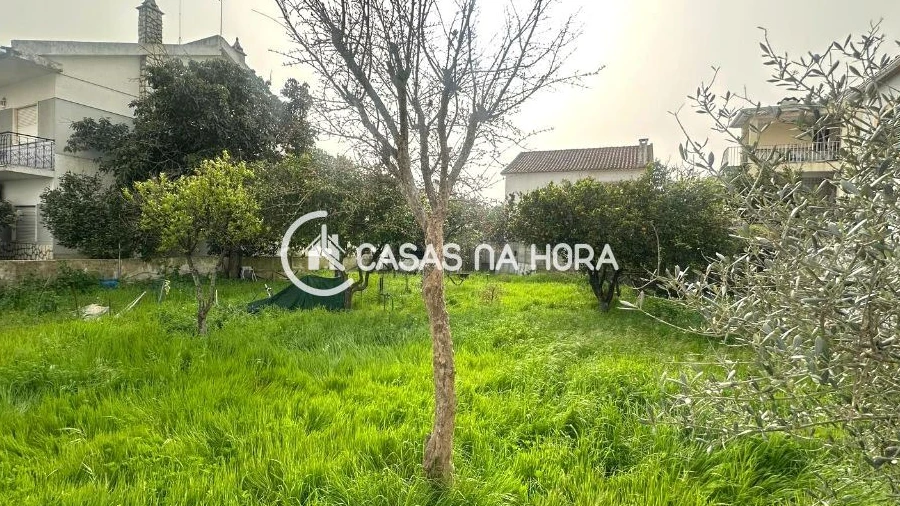 Terreno P/ Prédio para Venda em Quinta do Conde