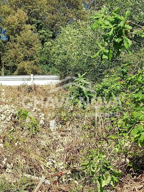 Terreno P/ Prédio para Venda em Arcozelo