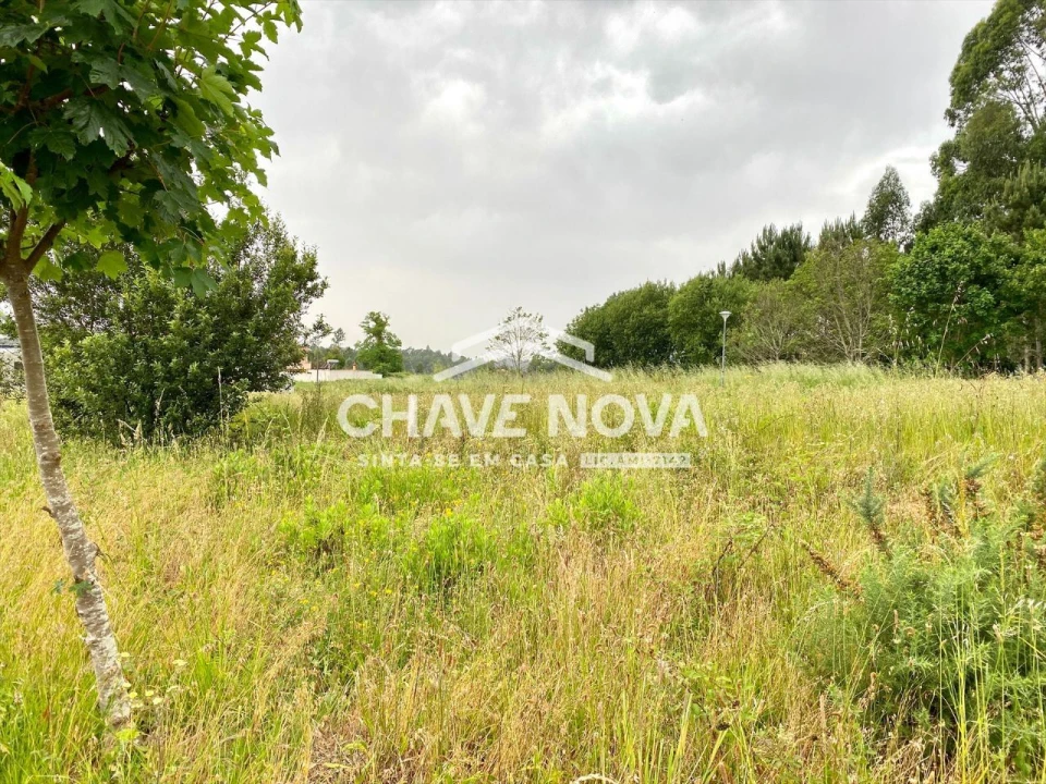 Terreno para Venda em Argoncilhe Foto 3