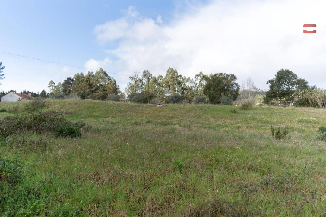 Terreno Agricola ou Rústico para Venda em Alburitel Foto 2