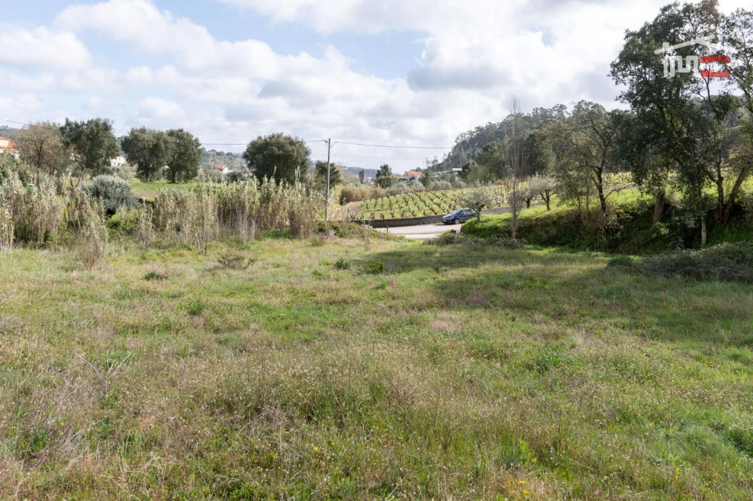 Terreno Agricola ou Rústico para Venda em Alburitel Foto 6