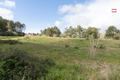 Terreno Agricola ou Rústico para Venda em Alburitel