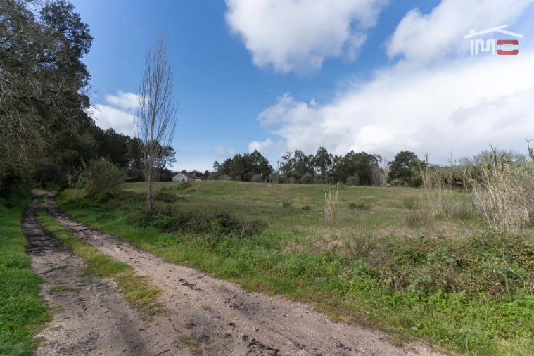 Terreno Agricola ou Rústico para Venda em Alburitel