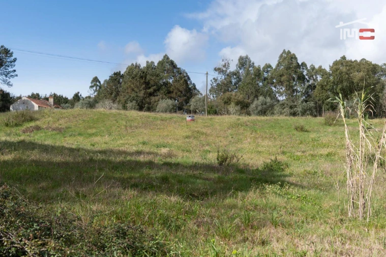Terreno Agricola ou Rústico para Venda em Alburitel Foto 5