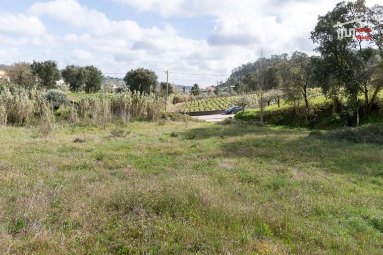 Terreno Agricola ou Rústico para Venda em Alburitel Foto 6