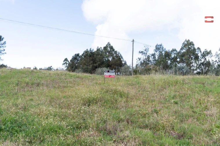 Terreno Agricola ou Rústico para Venda em Alburitel Foto 7