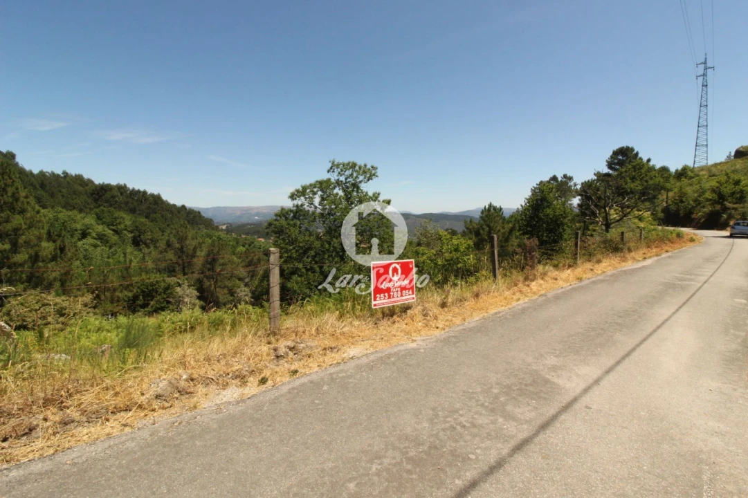 Terreno Agricola ou Rústico para Venda em Caçarilhe e Infesta Foto 9