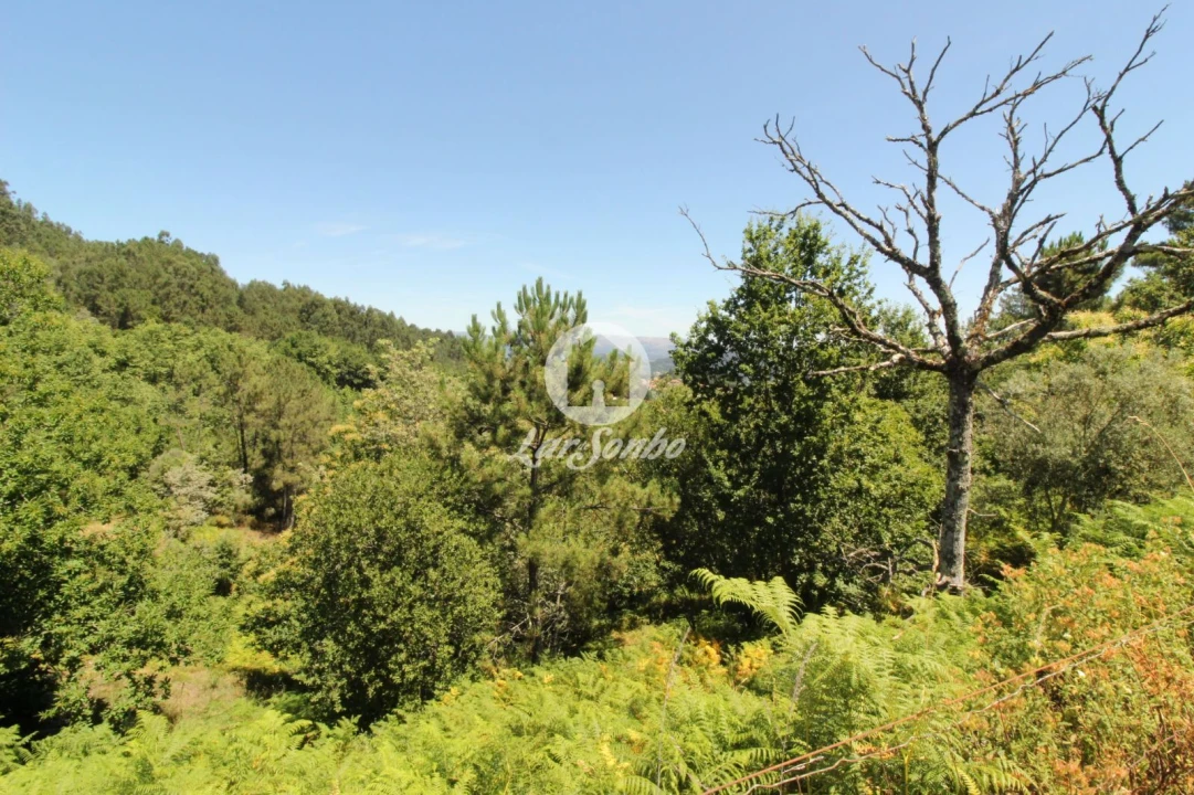 Terreno Agricola ou Rústico para Venda em Caçarilhe e Infesta Foto 17