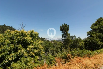 Terreno Agricola ou Rústico para Venda em Caçarilhe e Infesta