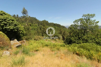 Terreno Agricola ou Rústico para Venda em Caçarilhe e Infesta