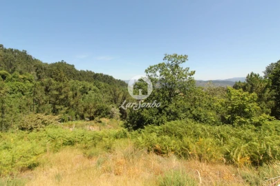 Terreno Agricola ou Rústico para Venda em Caçarilhe e Infesta