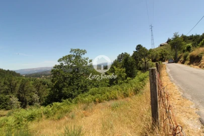 Terreno Agricola ou Rústico para Venda em Caçarilhe e Infesta