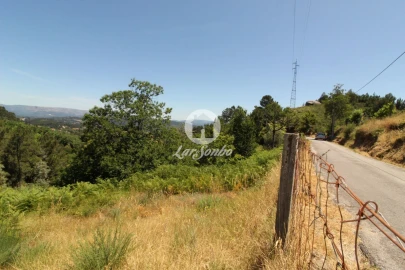 Terreno Agricola ou Rústico para Venda em Caçarilhe e Infesta