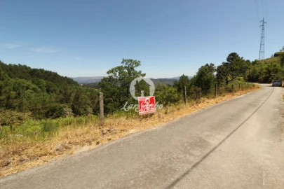 Terreno Agricola ou Rústico para Venda em Caçarilhe e Infesta