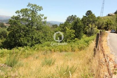 Terreno Agricola ou Rústico para Venda em Caçarilhe e Infesta