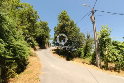 Terreno Agricola ou Rústico para Venda em Caçarilhe e Infesta