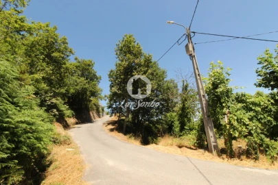 Terreno Agricola ou Rústico para Venda em Caçarilhe e Infesta