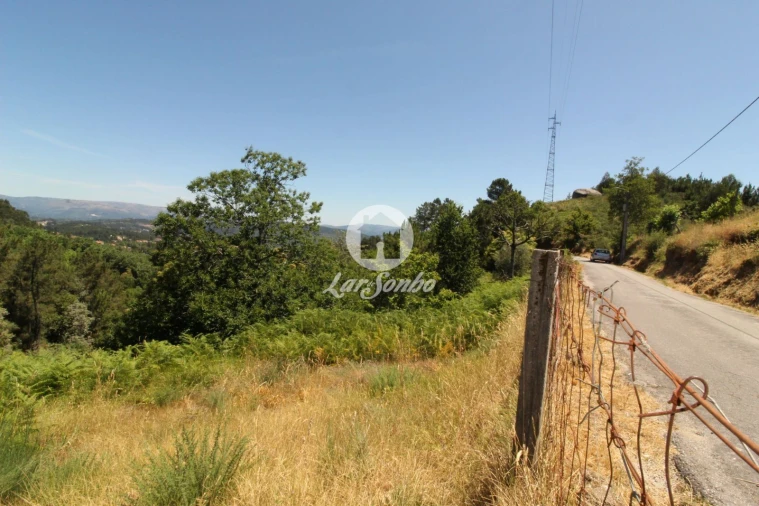 Terreno Agricola ou Rústico para Venda em Caçarilhe e Infesta Foto 7