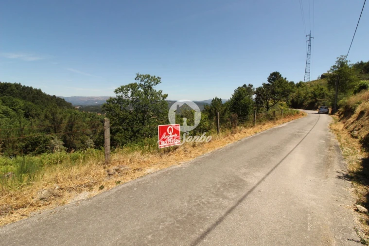 Terreno Agricola ou Rústico para Venda em Caçarilhe e Infesta Foto 8