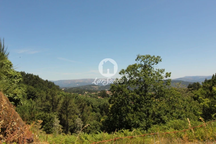 Terreno Agricola ou Rústico para Venda em Caçarilhe e Infesta Foto 11