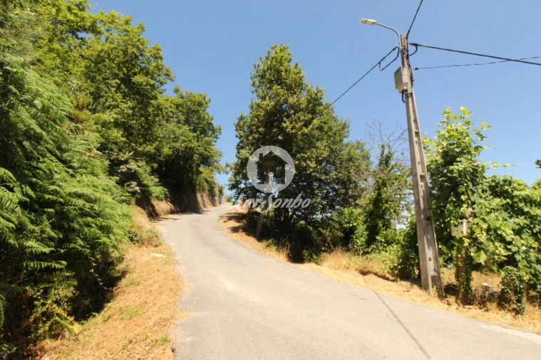 Terreno Agricola ou Rústico para Venda em Caçarilhe e Infesta Foto 18