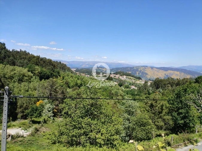 Terreno Agricola ou Rústico para Venda em Caçarilhe e Infesta Foto 22