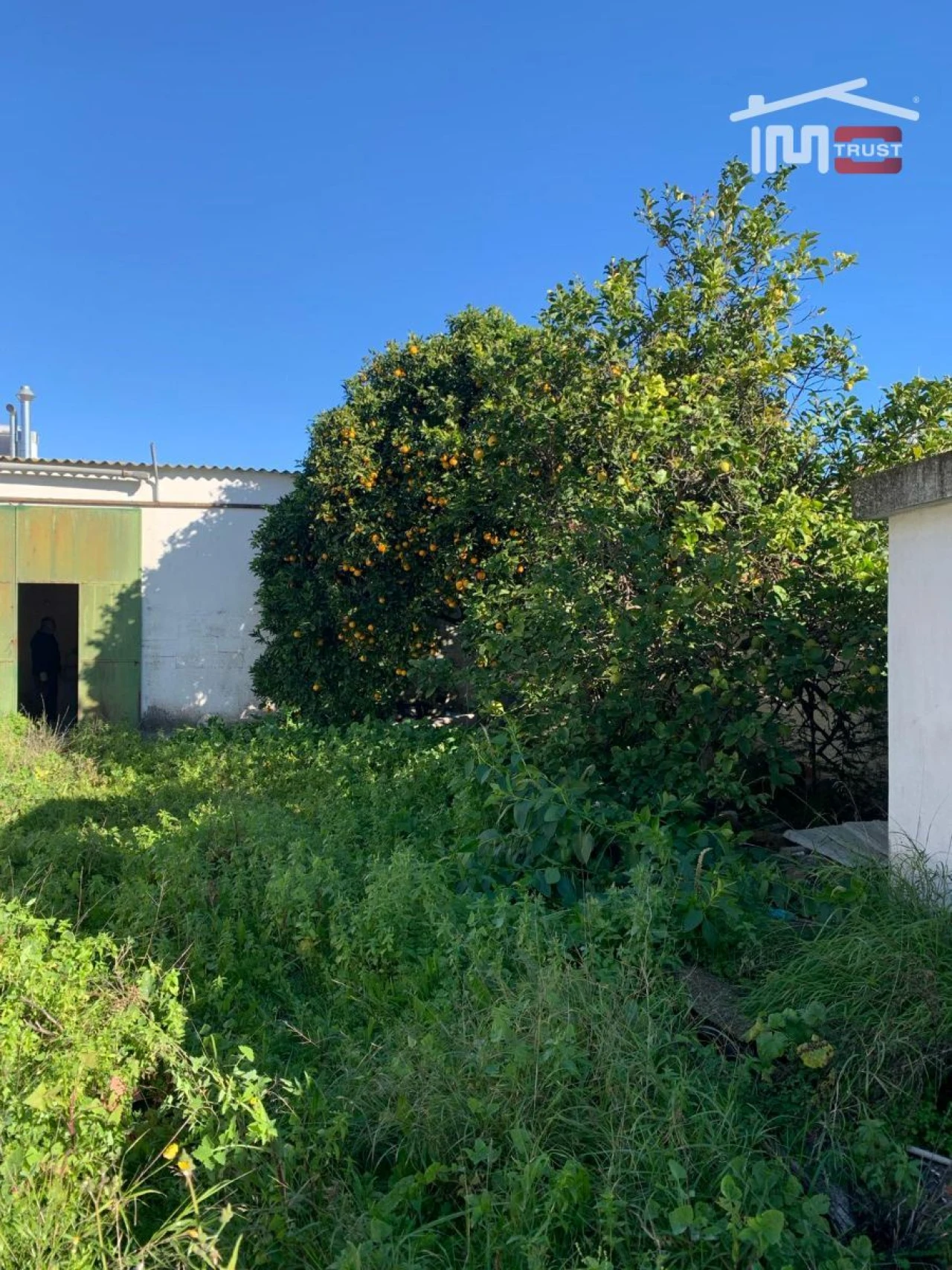 Terreno P/ Prédio para Venda em Montijo e Afonsoeiro Foto 23