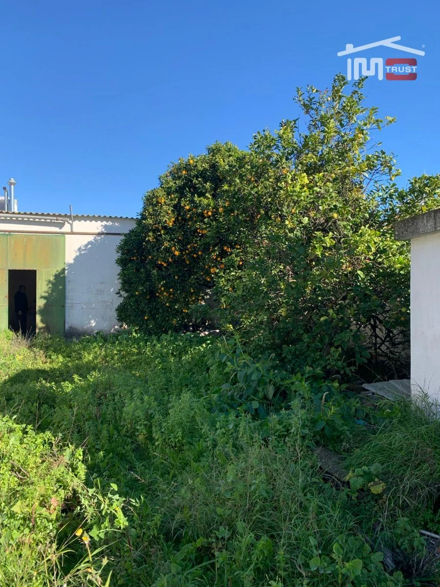 Terreno P/ Prédio para Venda em Montijo e Afonsoeiro Foto 23