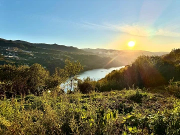Moradia T3 para Venda em Santa Cruz do Douro e São Tomé de Covelas