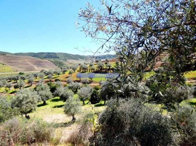Terreno Agricola ou Rústico para Venda em Vila Nova de Foz Côa Foto 2