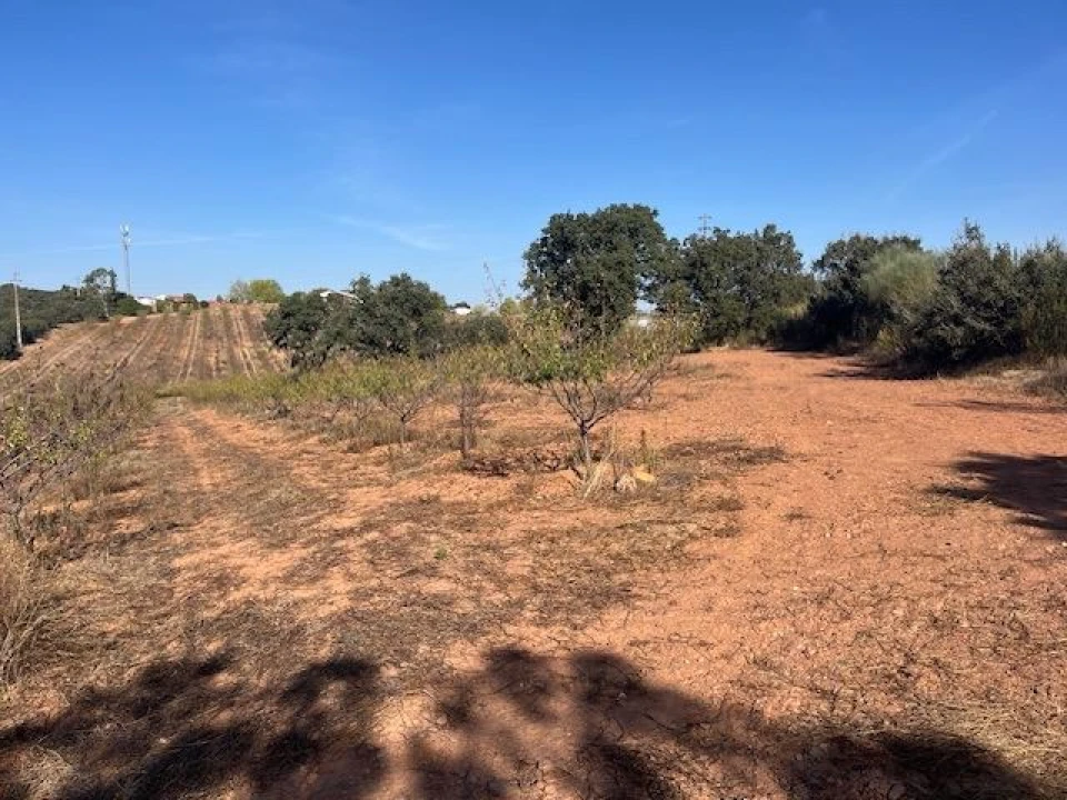 Quinta para Venda em Estremoz (Santa Maria e Santo André) Foto 2