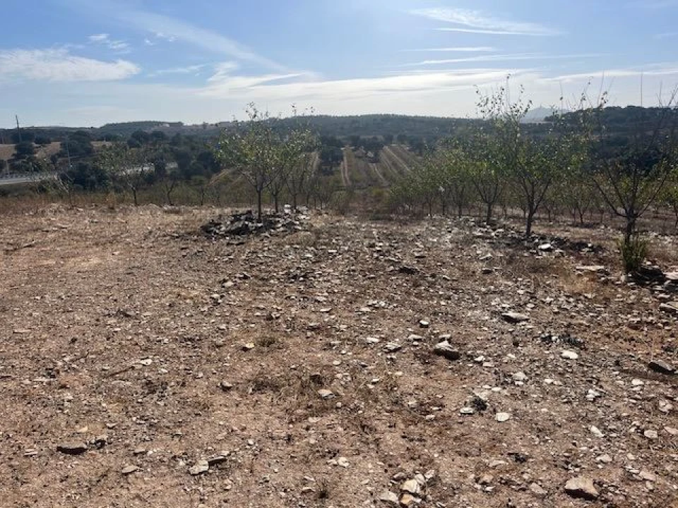 Quinta para Venda em Estremoz (Santa Maria e Santo André) Foto 4