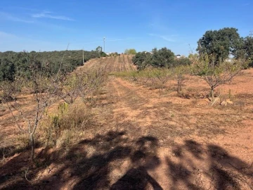 Quinta para Venda em Estremoz (Santa Maria e Santo André)