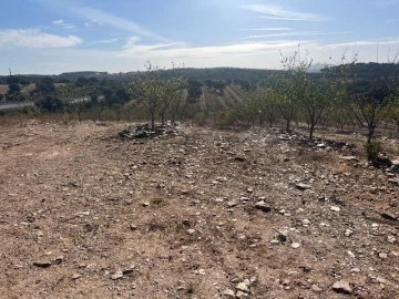 Quinta para Venda em Estremoz (Santa Maria e Santo André)