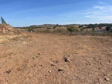 Quinta para Venda em Estremoz (Santa Maria e Santo André)