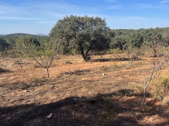 Quinta para Venda em Estremoz (Santa Maria e Santo André) Foto 3