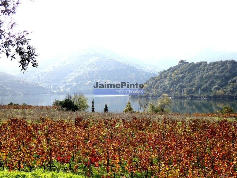 Quinta T10 para Venda em Vila Nova de Foz Côa Foto 9