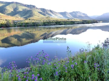 Quinta T10 para Venda em Vila Nova de Foz Côa