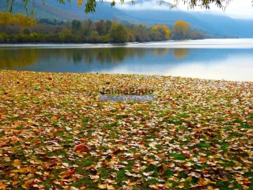 Quinta T10 para Venda em Vila Nova de Foz Côa